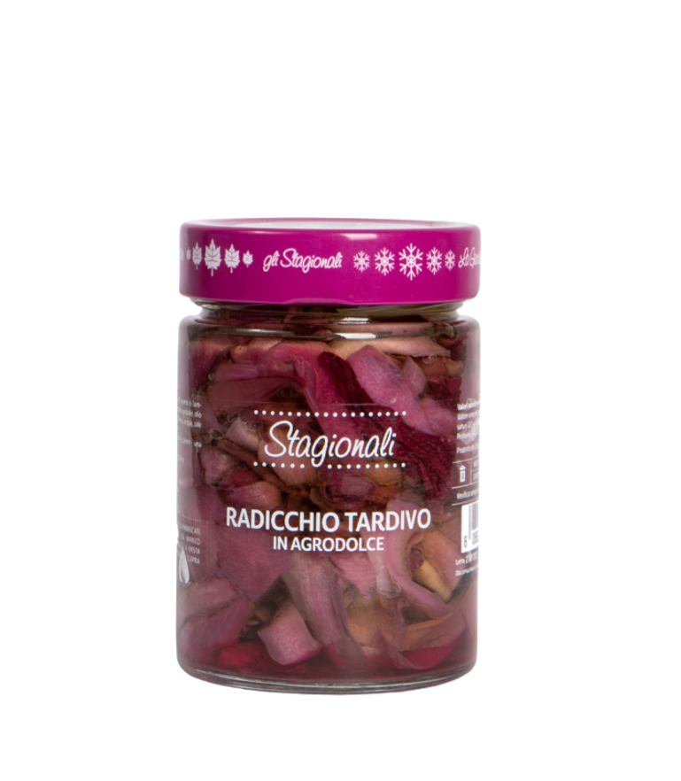 Il Radicchio Tardivo di Morgan